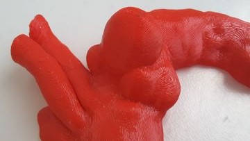 Photo of a 3D printed aorta with an aortic dissection.